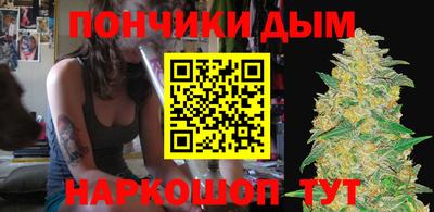 индика Можга
