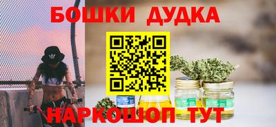 индика Можга