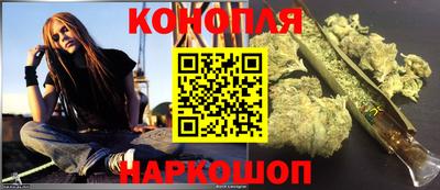 индика Можга