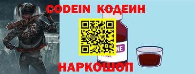 индика Можга