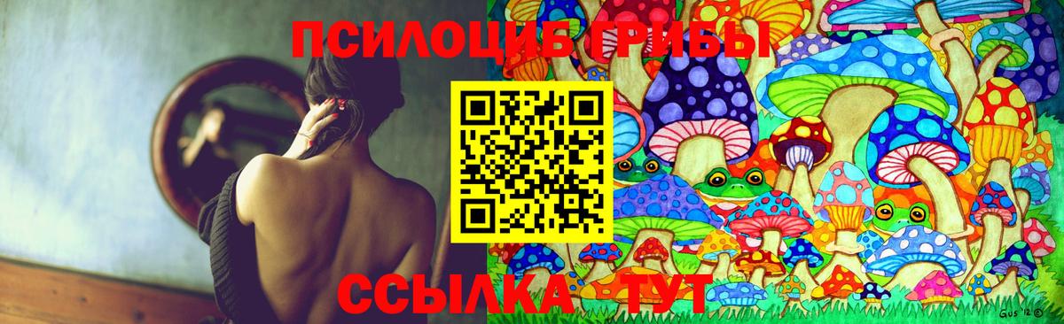 Новокузнецк  Галлюциногенные грибы Magic Shrooms  Вход с VPN 